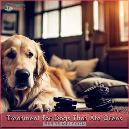 Treatment for Dogs That Ate Oreos