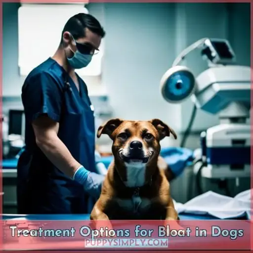 Treatment Options for Bloat in Dogs