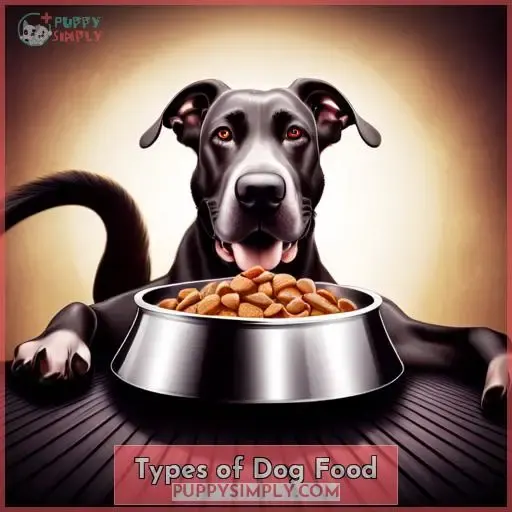 Types of Dog Food