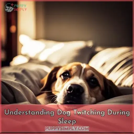 Understanding Dog Twitching During Sleep