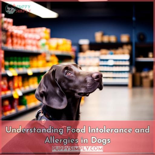 Understanding Food Intolerance and Allergies in Dogs