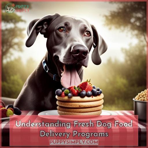 Understanding Fresh Dog Food Delivery Programs