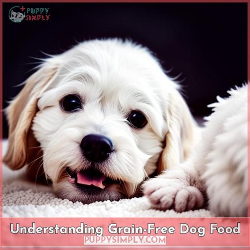 Understanding Grain-Free Dog Food