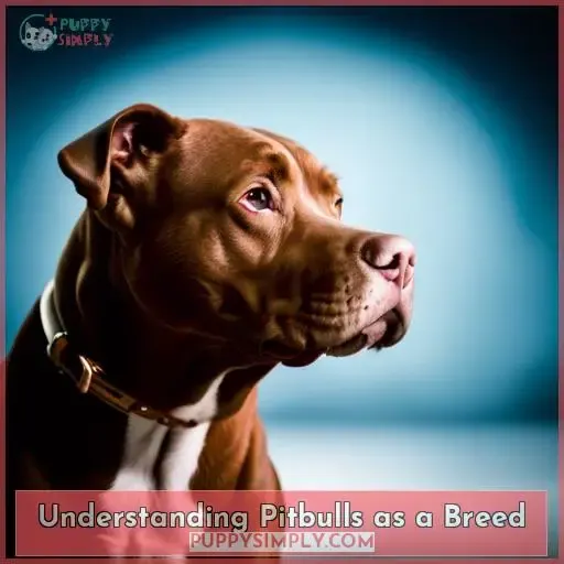 Understanding Pitbulls as a Breed