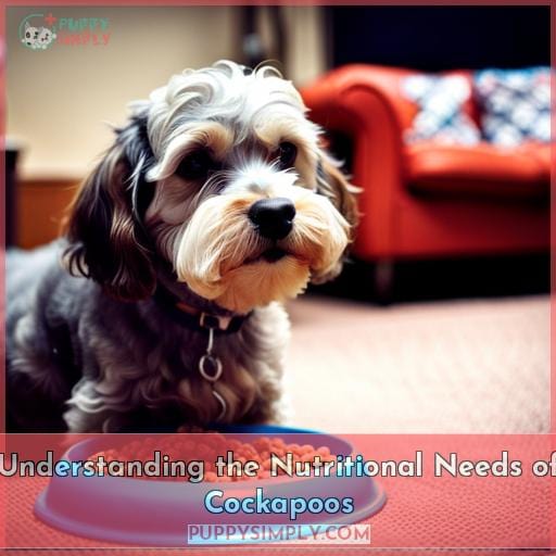 Understanding the Nutritional Needs of Cockapoos