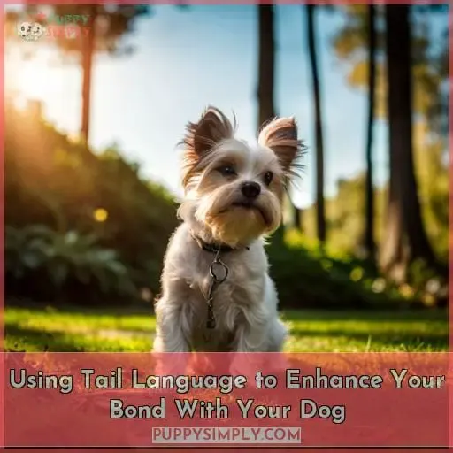 Using Tail Language to Enhance Your Bond With Your Dog