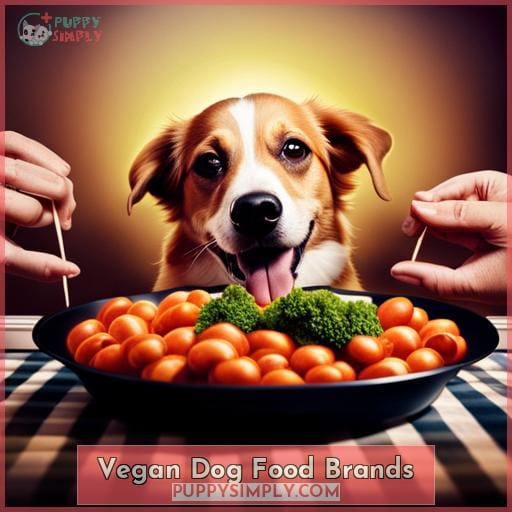 Vegan Dog Food Brands