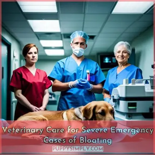 Veterinary Care for Severe Emergency Cases of Bloating