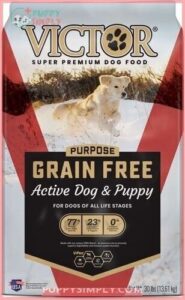 VICTOR Purpose Active Dog & 120700