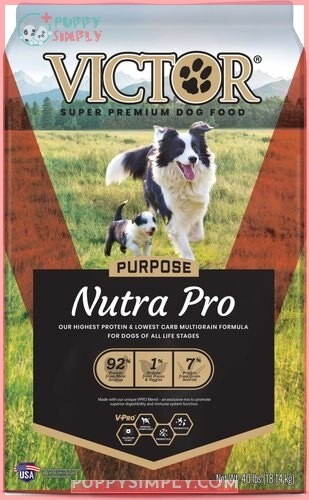 VICTOR Purpose Nutra Pro Dry
