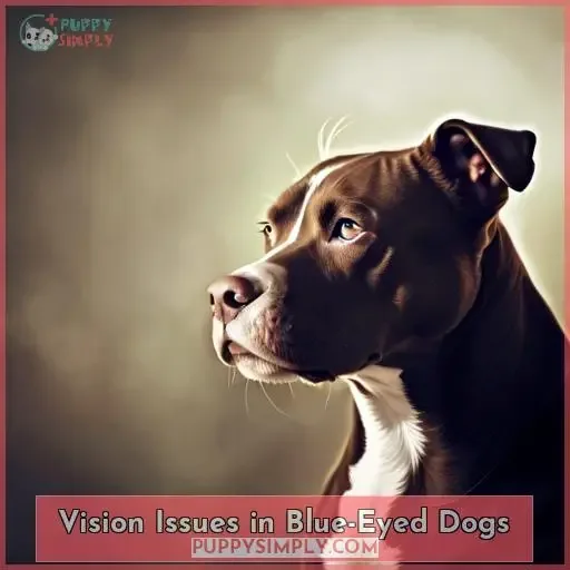 Vision Issues in Blue-Eyed Dogs