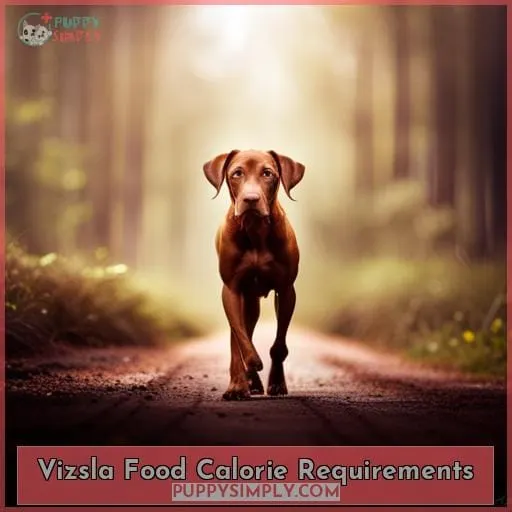 Vizsla Food Calorie Requirements