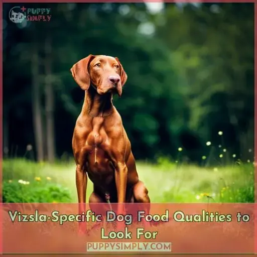 Vizsla-Specific Dog Food Qualities to Look For