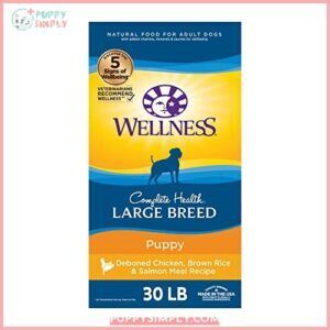Wellness Complete Health Large Breed B001J8LGEG
