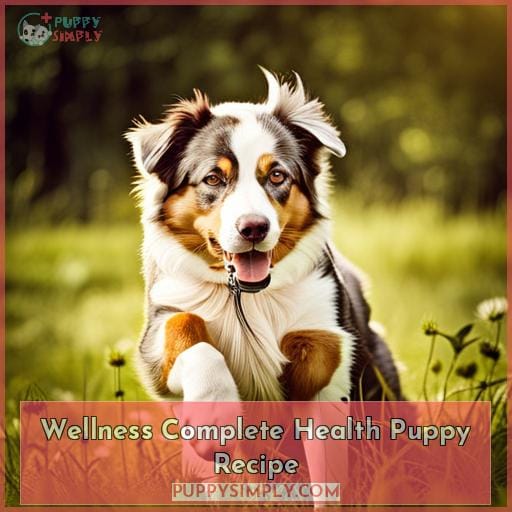 Wellness Complete Health Puppy Recipe