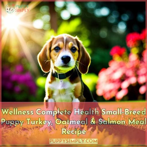 Wellness Complete Health Small-Breed Puppy Turkey, Oatmeal & Salmon Meal Recipe
