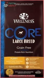 Wellness CORE Grain-Free Large Breed 172376