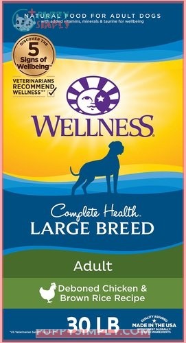 Wellness Large Breed Complete Health