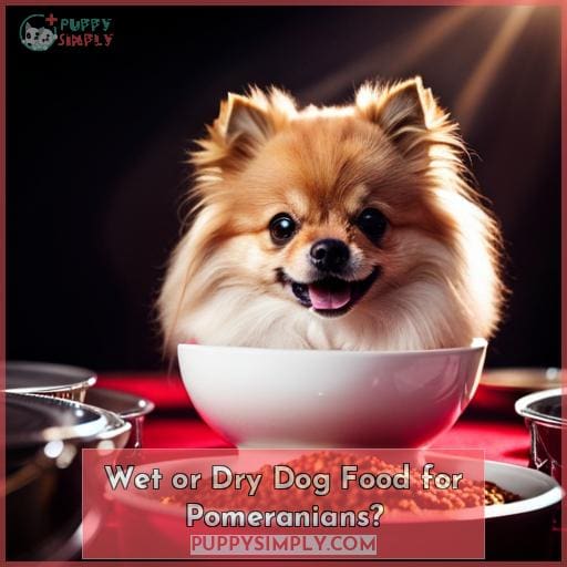 Wet or Dry Dog Food for Pomeranians