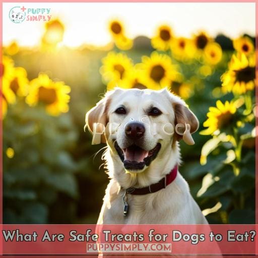 What Are Safe Treats for Dogs to Eat