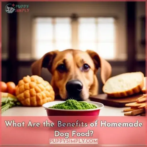What Are the Benefits of Homemade Dog Food