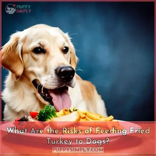 What Are the Risks of Feeding Fried Turkey to Dogs