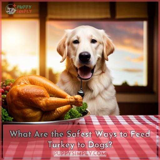 What Are the Safest Ways to Feed Turkey to Dogs