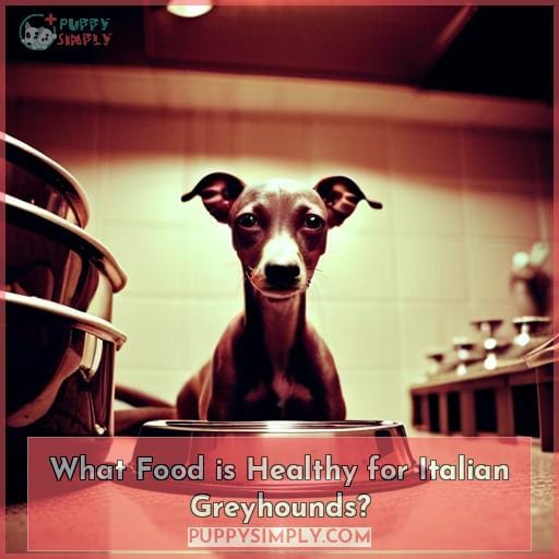 What Food is Healthy for Italian Greyhounds