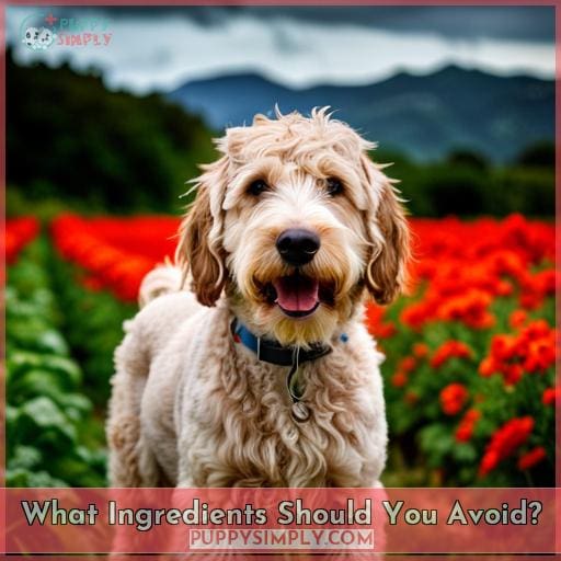 What Ingredients Should You Avoid
