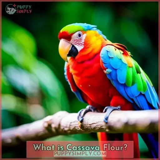 What is Cassava Flour