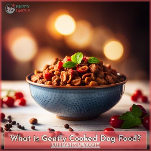 Gently Cooked Dog Food: Wholesome Nutrition & Cooking Process
