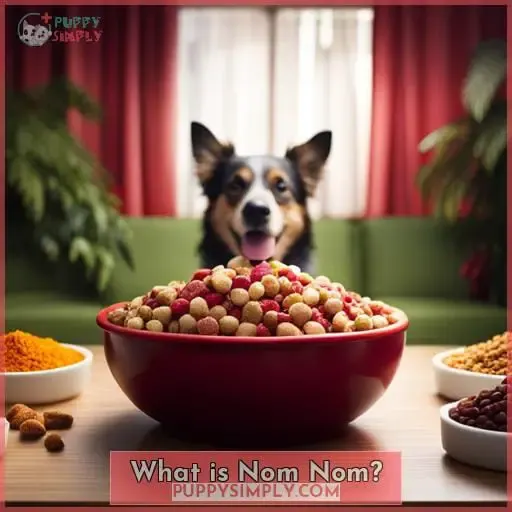 What is Nom Nom