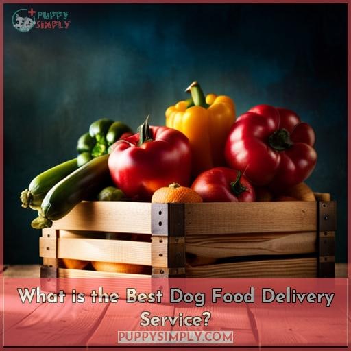 What is the Best Dog Food Delivery Service