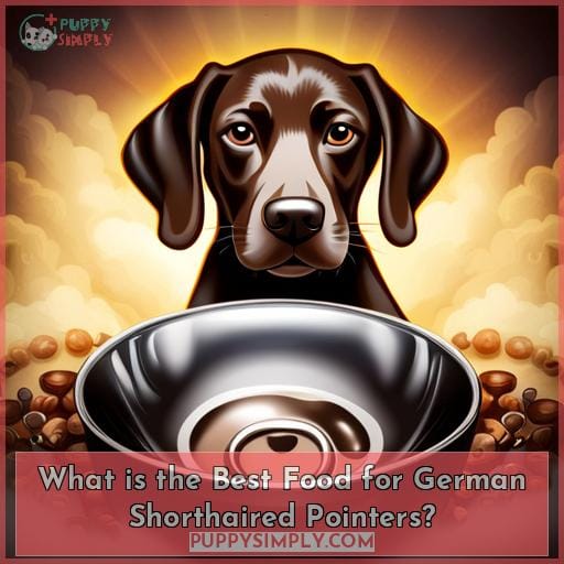 What is the Best Food for German Shorthaired Pointers