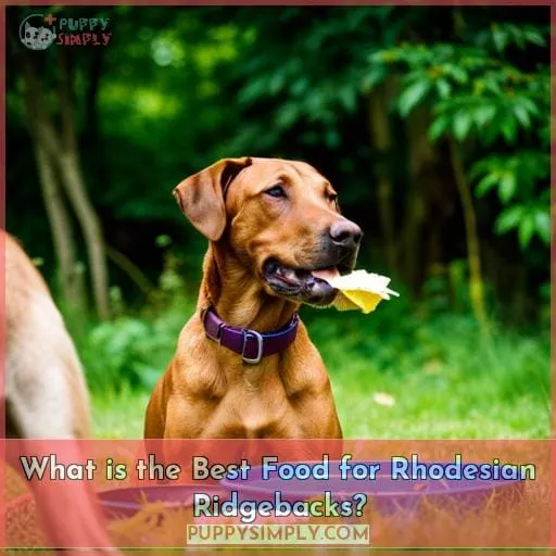 What is the Best Food for Rhodesian Ridgebacks