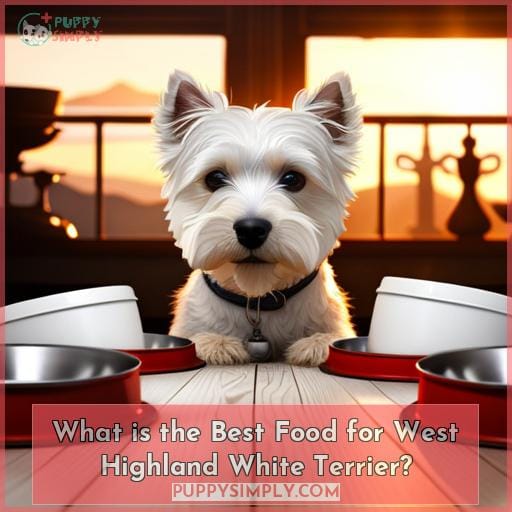 What is the Best Food for West Highland White Terrier