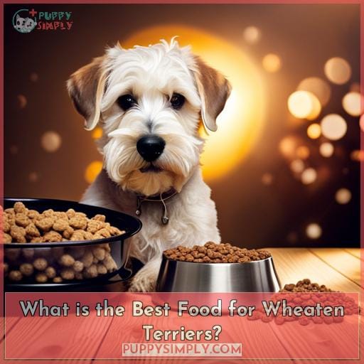 What is the Best Food for Wheaten Terriers