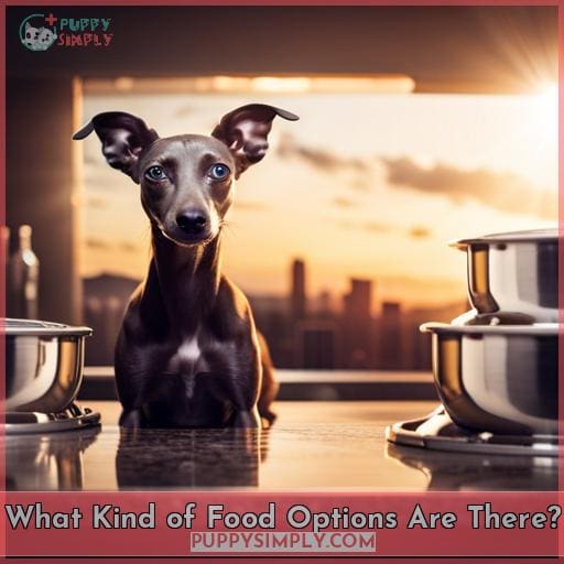 What Kind of Food Options Are There