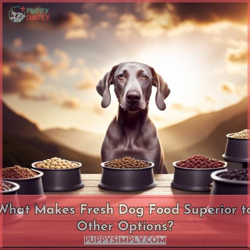 What Makes Fresh Dog Food Superior to Other Options