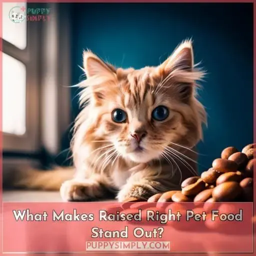 What Makes Raised Right Pet Food Stand Out