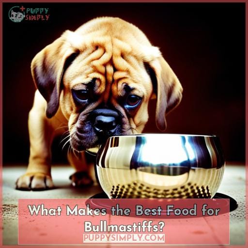 What Makes the Best Food for Bullmastiffs