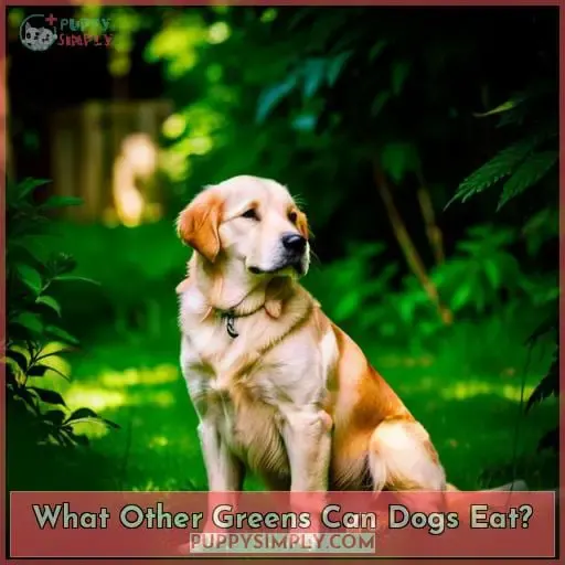What Other Greens Can Dogs Eat
