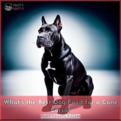 What’s the Best Dog Food for a Cane Corso