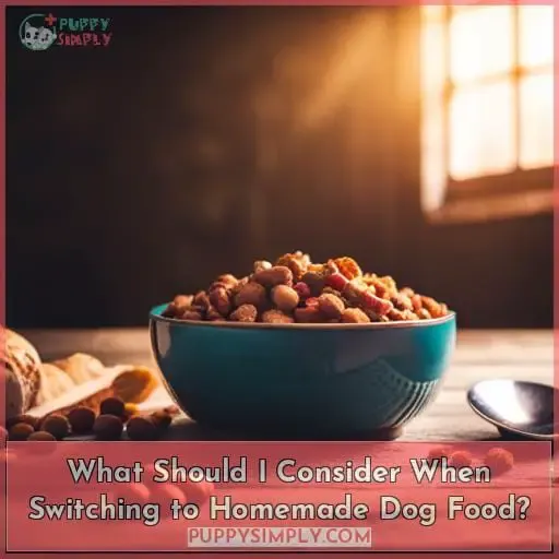 What Should I Consider When Switching to Homemade Dog Food