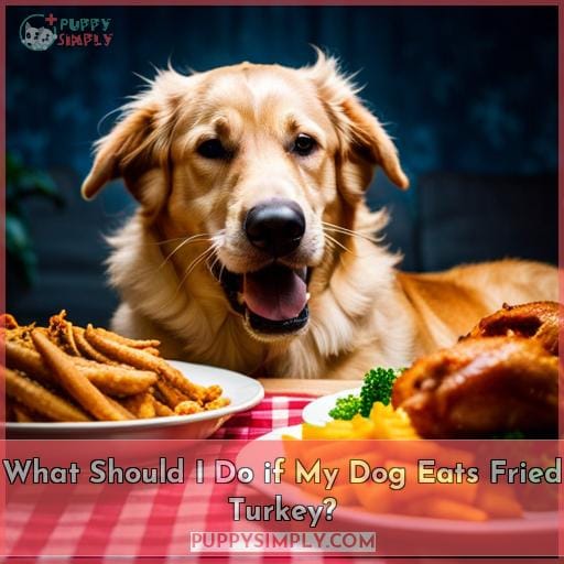 What Should I Do if My Dog Eats Fried Turkey