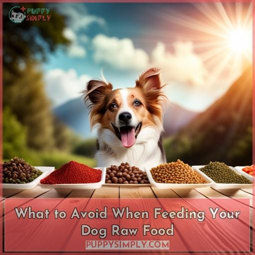 What to Avoid When Feeding Your Dog Raw Food