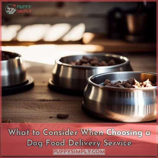 What to Consider When Choosing a Dog Food Delivery Service