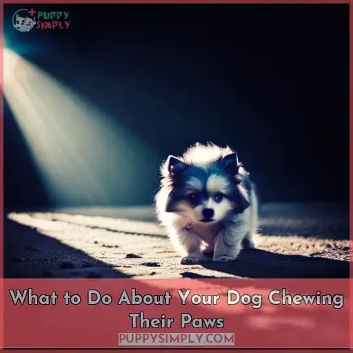 What to Do About Your Dog Chewing Their Paws