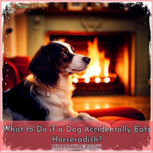 What to Do if a Dog Accidentally Eats Horseradish