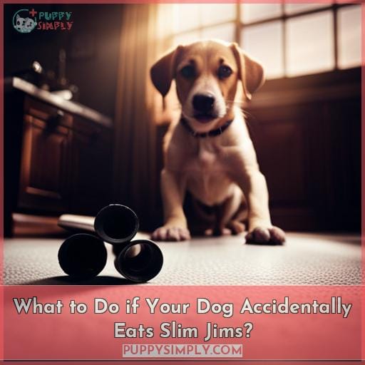 What to Do if Your Dog Accidentally Eats Slim Jims